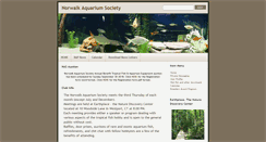 Desktop Screenshot of norwalkas.org